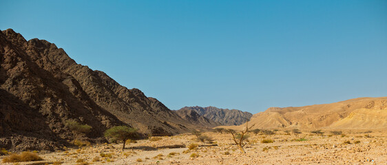 View of rocky landscape in the desert of Israel, sandstone cliffs and desert. Israel. Eilat.