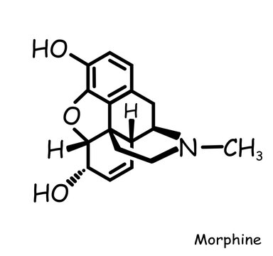 The Chemical structure of morphine