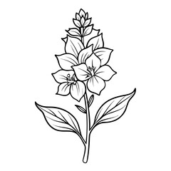 vector illustration of a flower, black and white flower