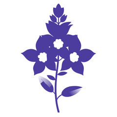 larkspur flower silhouette on white background