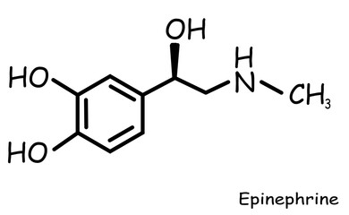 The Chemical structure of epinephrine 