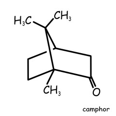 The Chemical structure of camphor