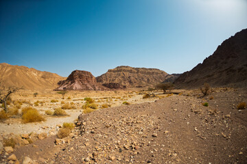 View of dry desert valley. Eilat. Israel.