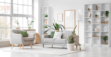 Interior of light living room with grey sofa, armchair and green plants