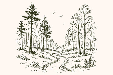 Forest path landscape sketch with trees vector illustration © Victoria