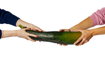 Two pairs of hands hold a large green zucchini together, symbolizing cooperation, teamwork, and sharing, isolated on a transparent background for creative design use