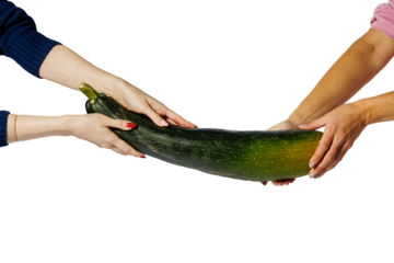 Two pairs of hands hold a large green zucchini together, symbolizing cooperation, teamwork, and sharing, isolated on a transparent background for creative design use