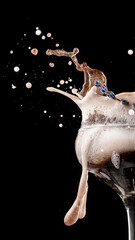 Fototapety na wymiar - Fototapeta24.pl