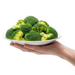 hand holding dish of Broccoli on Isolated transparent background png. generated with AI