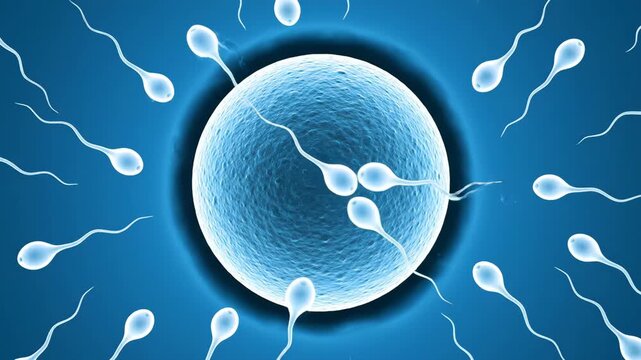 Sonya eshakda sikilib ketdi Eng noodatiy jinsiy pozitsiyalar (fotosuratlar)