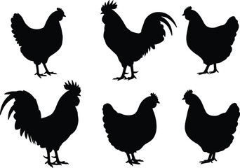 Chicken and rooster silhouette set, poultry farm animal icons, black vector birds for rural design, agriculture, livestock, food packaging, decoration