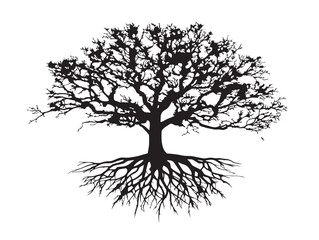 Sprawling Tree With Roots Artistic 2D Vector Line Art Silhouette