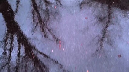 During a rainy day, large raindrops hit the damp road, causing ripples in a puddle that mirrors the stark outlines of leafless trees and an overcast autumn sky