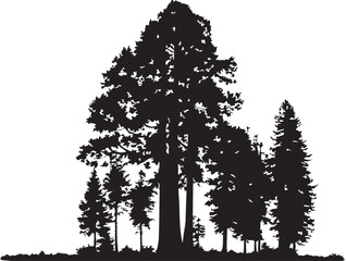 Fototapeta premium Majestic Redwood Tree Silhouette Design 2D Vector Artwork