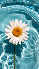 A single white daisy floats atop rippled turquoise water