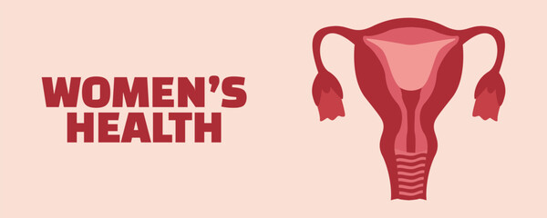 Women's health and gynecology concept. Vector illustration of the uterus and female reproductive system for educational, medical, or awareness purposes