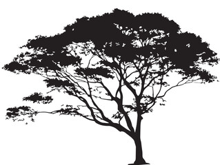 Obraz premium Tree Against Sky Silhouette 2D Vector Line Art Illustration