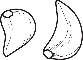 Garlic Cloves Outline Drawing