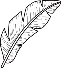 Hand-drawn Banana Leaf Line Art Illustration. Tropical Botanical Doodle. Exotic Foliage Element. © orchidart