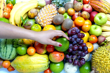 Selecting an avocado from fruits. fruits photography.