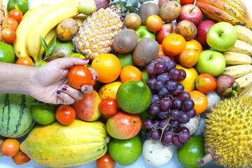 A tomato on a hand. fruit photography image.