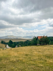 Fototapeta premium Rural landscape with grassy field, lonely house, pine trees and cloudy sky in the background.
