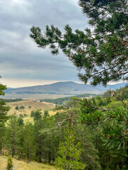 Obraz premium Peaceful countryside with village houses on rolling hills, natural landscape style, pine forest in foreground