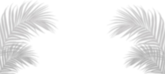 white feather on black background