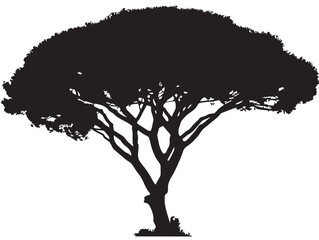 Fototapeta premium Tree with Canopy Shade 2D Vector Line Art Silhouette Illustration