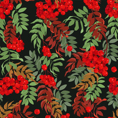Mountain ash branches against a black background. Seamless vector illustration. Perfect for decorating textiles, packaging, and wallpaper.