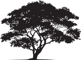Obraz premium Detailed Tree With Rich Canopy 2D Vector Line Art Drawing