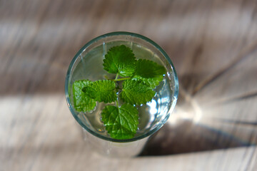 Healthy drinking, glass of water with fresh leaves of mint. Summer cocktail. Spearmint. Wooden table