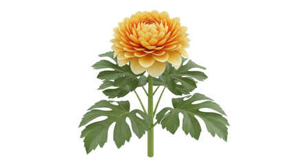 Isolated flower with green leaves on plant stem, petals arranged in a symmetrical pattern