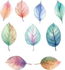 Obraz premium Vector watercolor leaf collection — pastel botanical foliage set