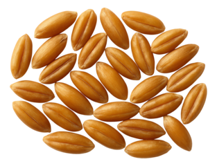 Arugula leaves paired with shaved parmesan on a dark wood serving board