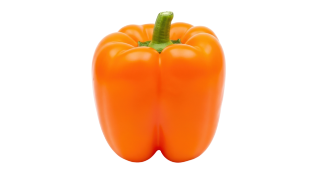 Isolated sweet orange bell pepper with green stem, ripe fresh capsicum with no shadow