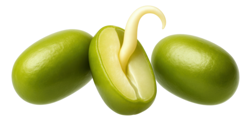 Clear jar of roasted hazelnuts with visible golden-brown skin, tightly sealed with a silver metal lid
