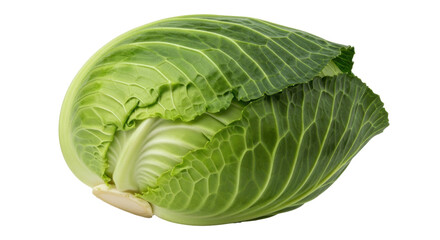 Obraz premium Isolated Fresh Green Cabbage Head, Healthy Vegetable, Vegetarian Ingredient for Salad
