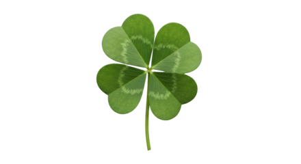 Isolated four-leaf clover, symbol of good luck, St Patrick's Day festive lucky shamrock