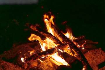 Close-up of campfire flames burning wood at night