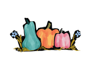 Watercolor Pumpkins with Flowers, Hand Drawn Fall Clipart , Thanksgiving Art