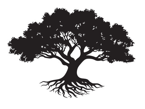 Majestic tree with knotted roots 2D vector line art