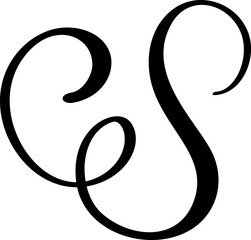 Calligraphic vector hand drawn uppercase letter S forming ornate monogram with decorative design and scroll flourish elegant