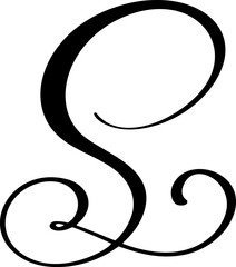 Vector calligraphy hand drawn letter S icon logo. Script font. Handwritten brush style