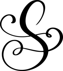 Vector calligraphy hand drawn letter S icon logo. Script Handwritten font. style brush
