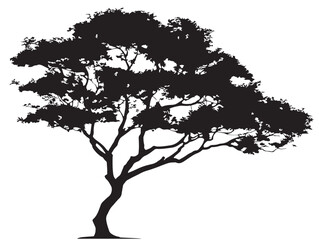 Fototapeta premium Detailed Silhouette of Tree with Moss 2D Vector