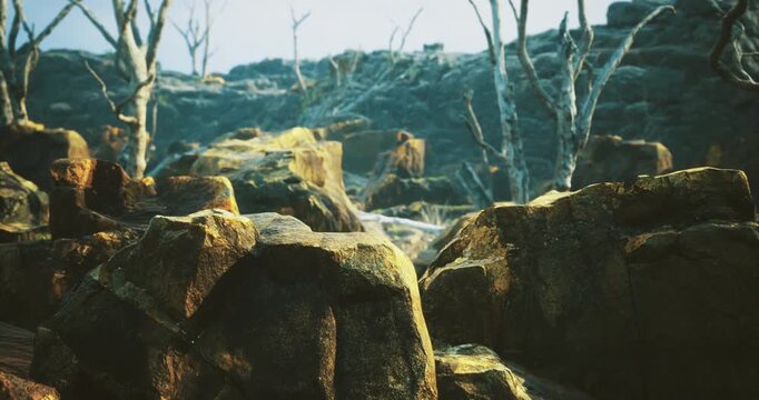 A rugged landscape features large, weathered rocks scattered across the ground, with dry, leafless trees visible in the distance under a clear blue sky. The area appears arid and desolate.