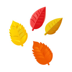 vector autumn leaves