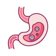 octopus with a heart shaped