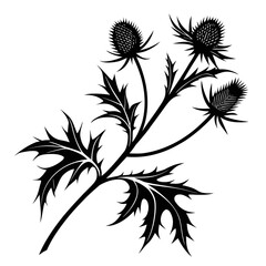 Black silhouette of a thistle plant with spiky flowers and leaves